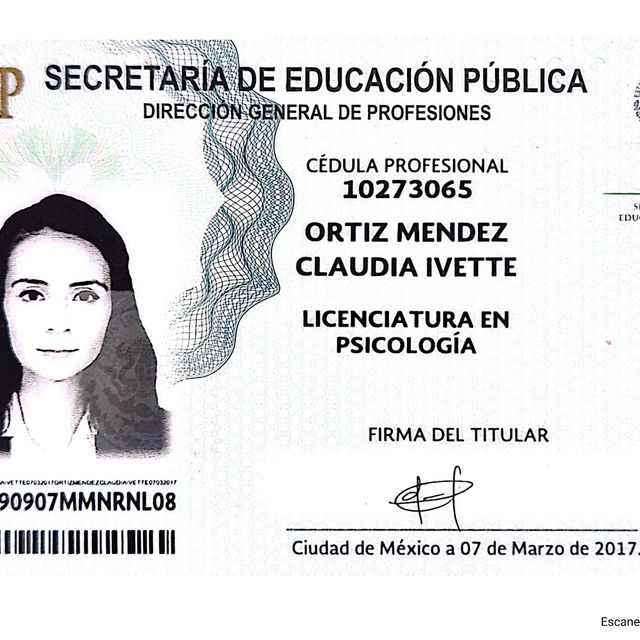 Ampliar imagen: certificate 1