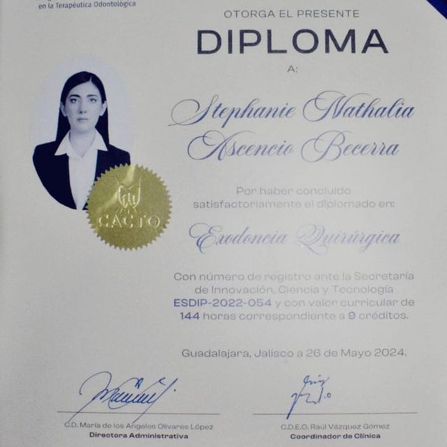 Ampliar imagen: certificate 1