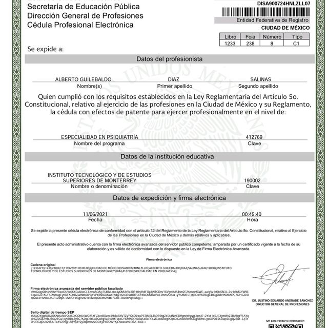 Ampliar imagen: certificate 3
