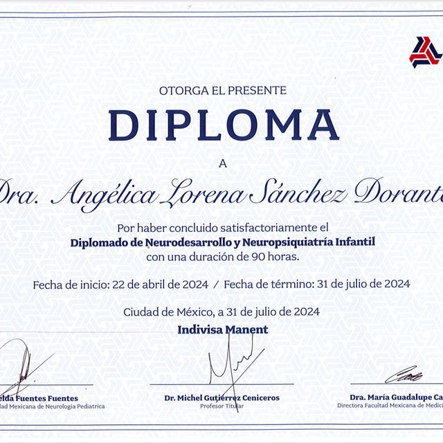 Ampliar imagen: certificate 6