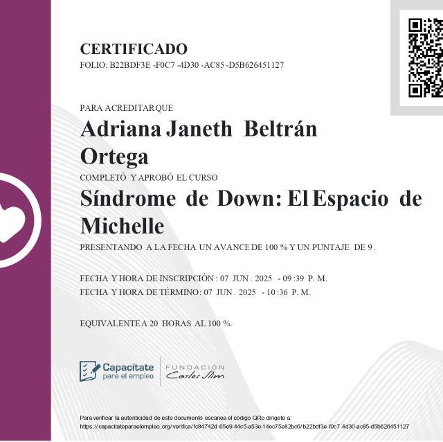 Ampliar imagen: certificate 9