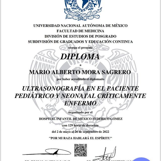 Ampliar imagen: certificate 6