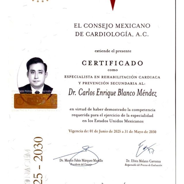 Ampliar imagen: certificate 2