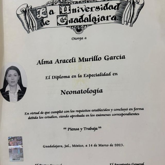 Ampliar imagen: certificate 5