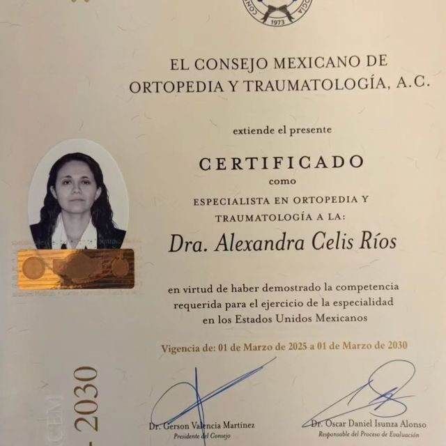 Ampliar imagen: certificate 1