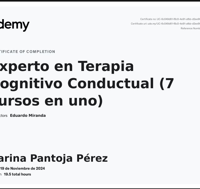 Ampliar imagen: certificate 2