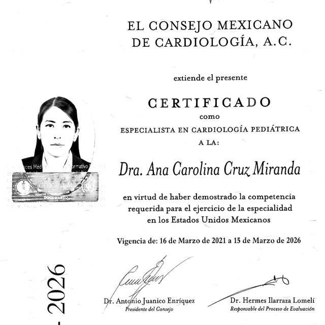Ampliar imagen: certificate 1