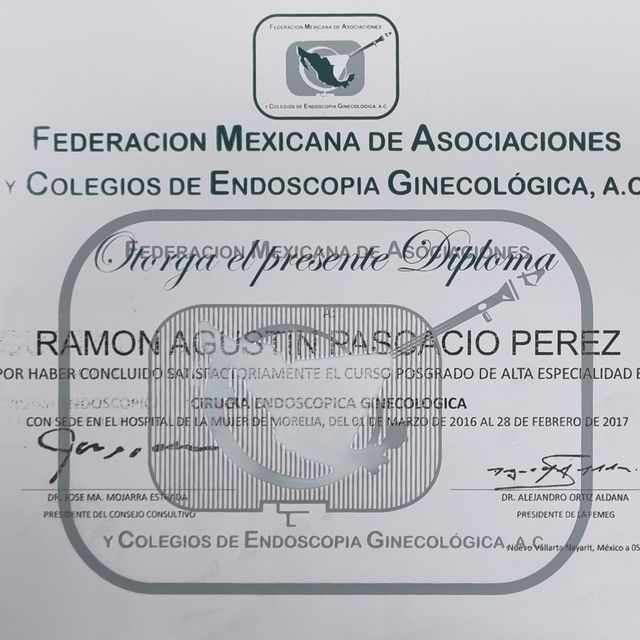 Ampliar imagen: certificate 46