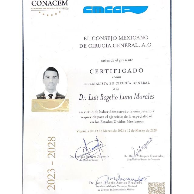 Ampliar imagen: certificate 1