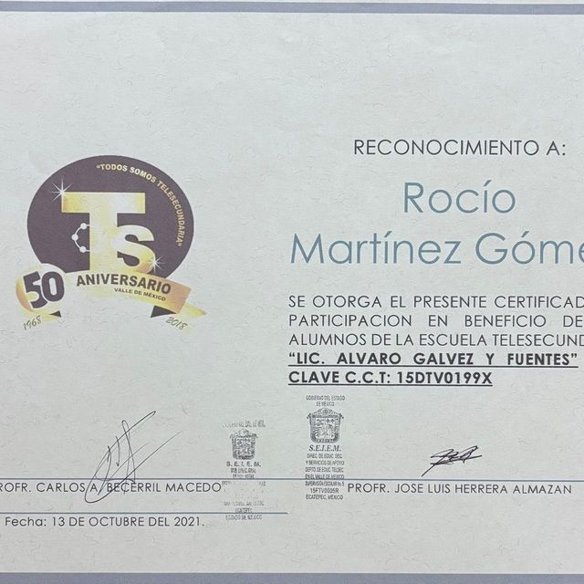 Ampliar imagen: certificate 3