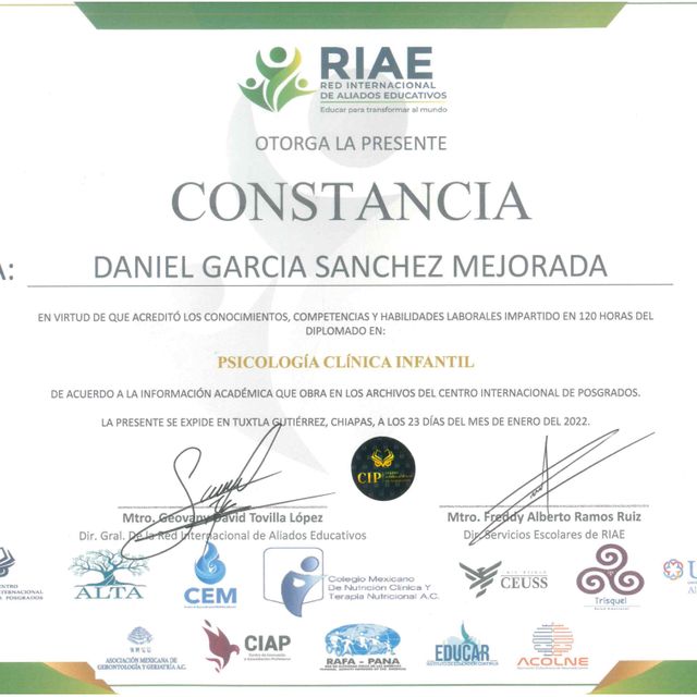 Ampliar imagen: certificate 1