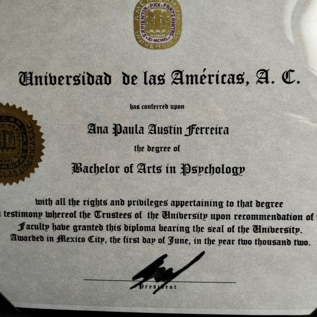 Ampliar imagen: certificate 5