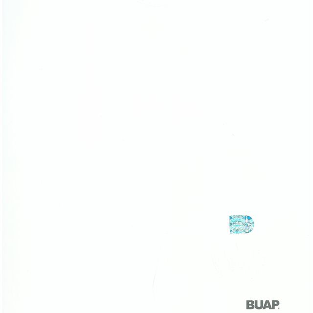 Ampliar imagen: certificate 8