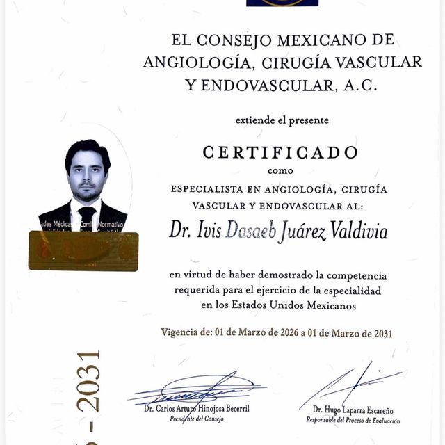 Ampliar imagen: certificate 1