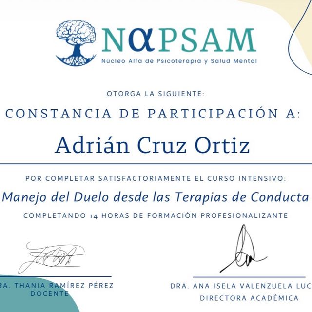 Ampliar imagen: certificate 13