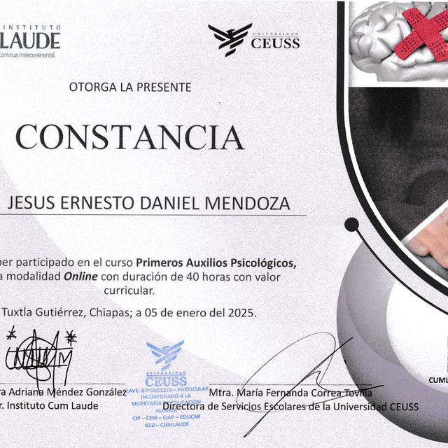 Ampliar imagen: certificate 1