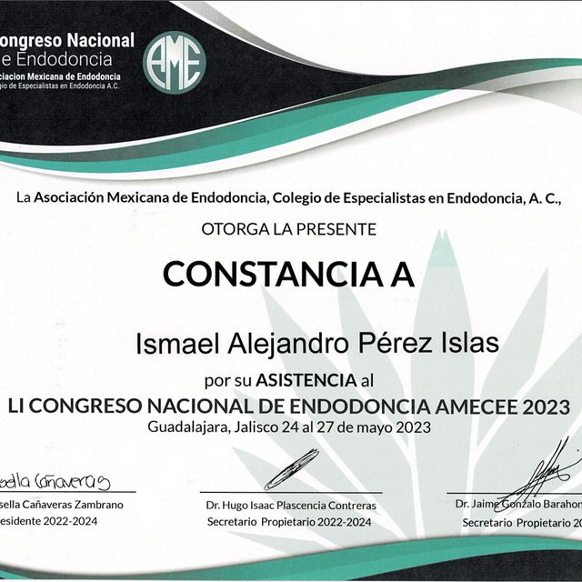 Ampliar imagen: certificate 6