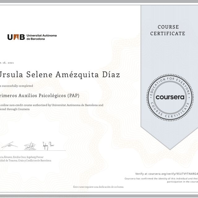 Ampliar imagen: certificate 4