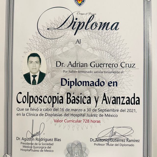 Ampliar imagen: certificate 3