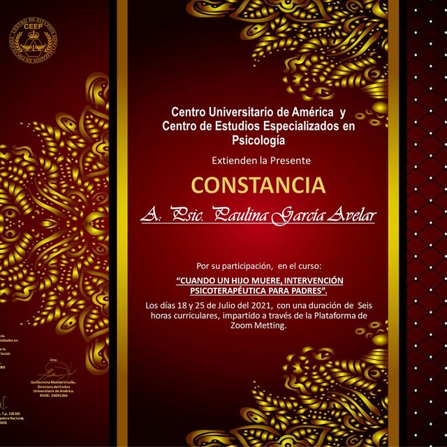 Ampliar imagen: certificate 23