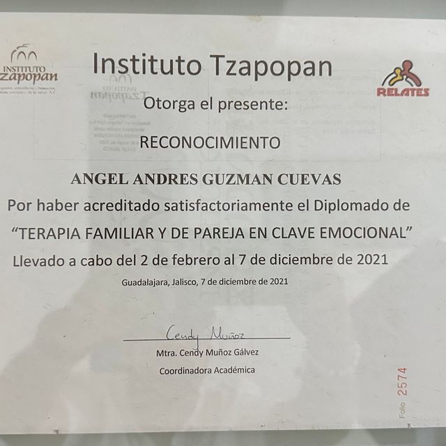 Ampliar imagen: certificate 2