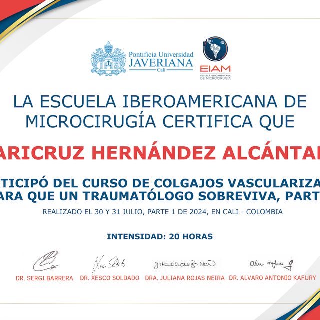 Ampliar imagen: certificate 4