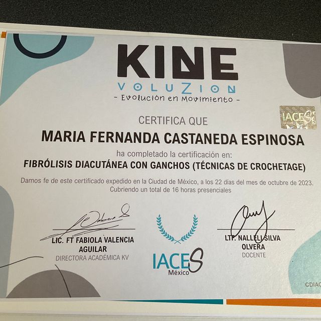 Ampliar imagen: certificate 4