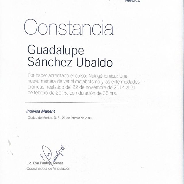 Ampliar imagen: certificate 4