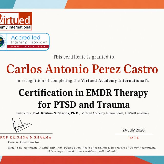 Ampliar imagen: certificate 2