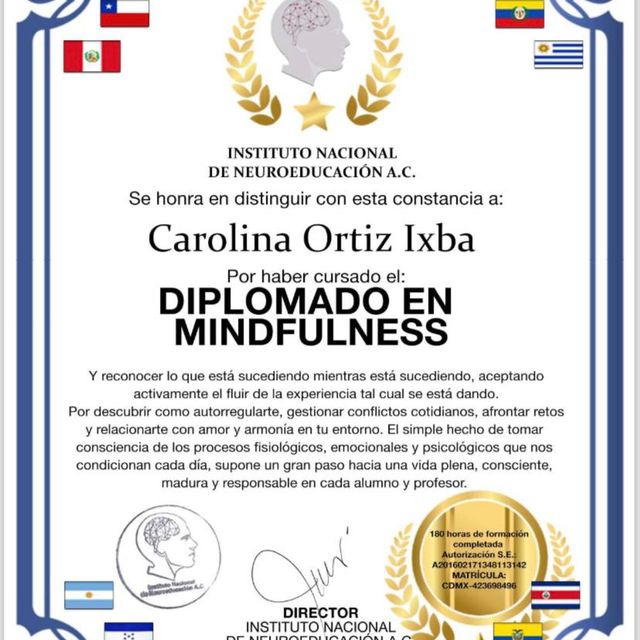 Ampliar imagen: certificate 1