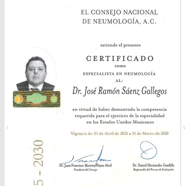 Ampliar imagen: certificate 8