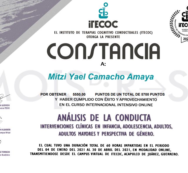 Ampliar imagen: certificate 3