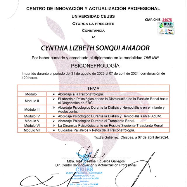 Ampliar imagen: certificate 9