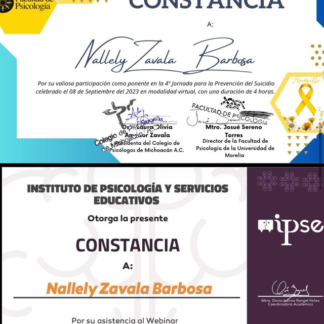 Ampliar imagen: certificate 9