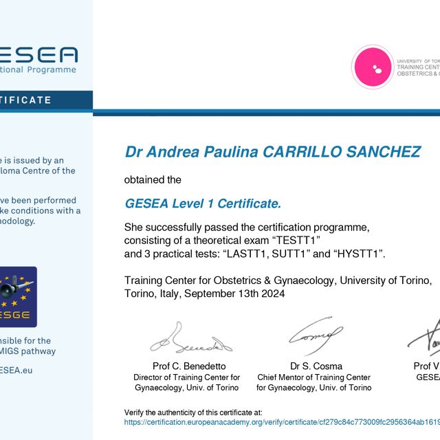 Ampliar imagen: certificate 2
