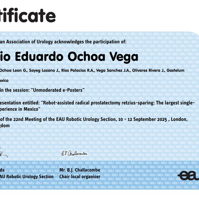 Ampliar imagen: certificate 2