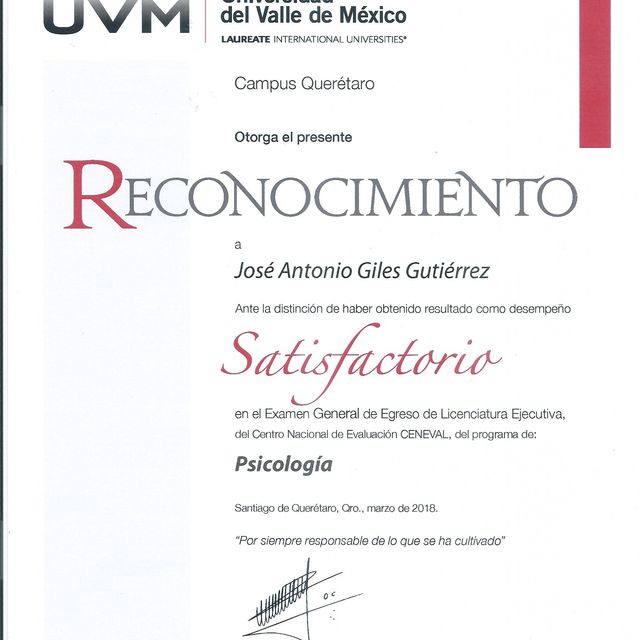 Ampliar imagen: certificate 5