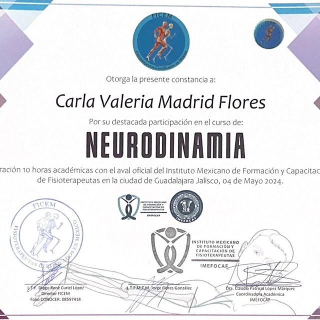 Ampliar imagen: certificate 5