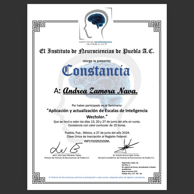 Ampliar imagen: certificate 4