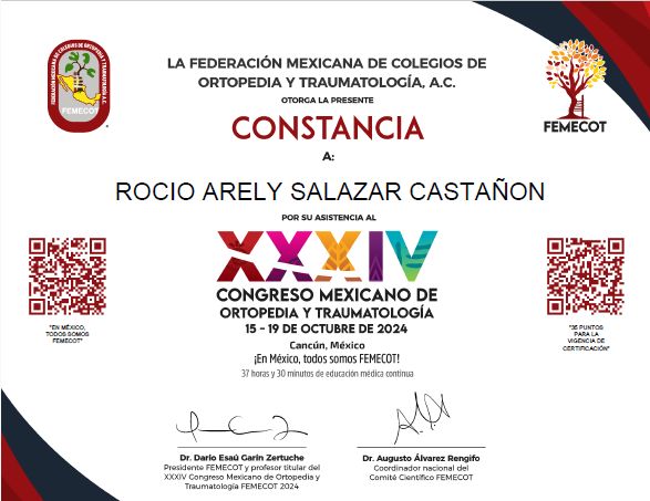 Ampliar imagen: certificate 2