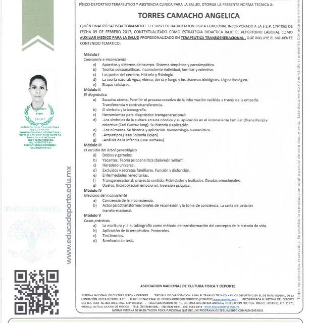 Ampliar imagen: certificate 3