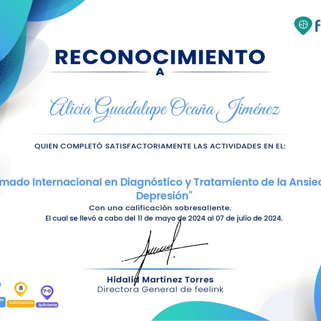 Ampliar imagen: certificate 5