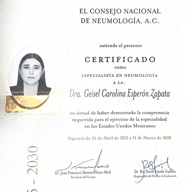 Ampliar imagen: certificate 2