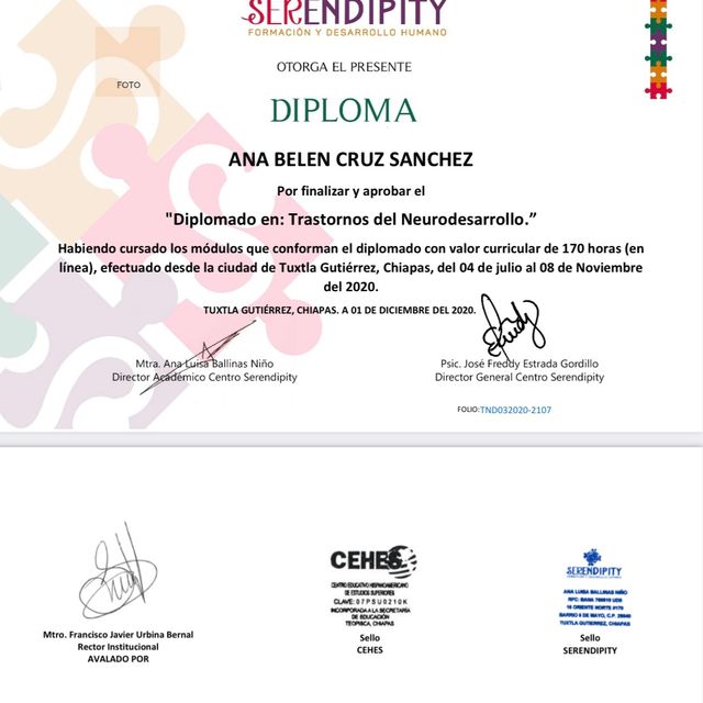 Ampliar imagen: certificate 3