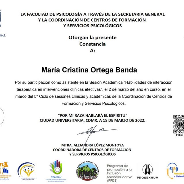 Ampliar imagen: certificate 4