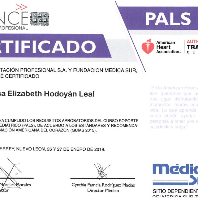 Ampliar imagen: certificate 4