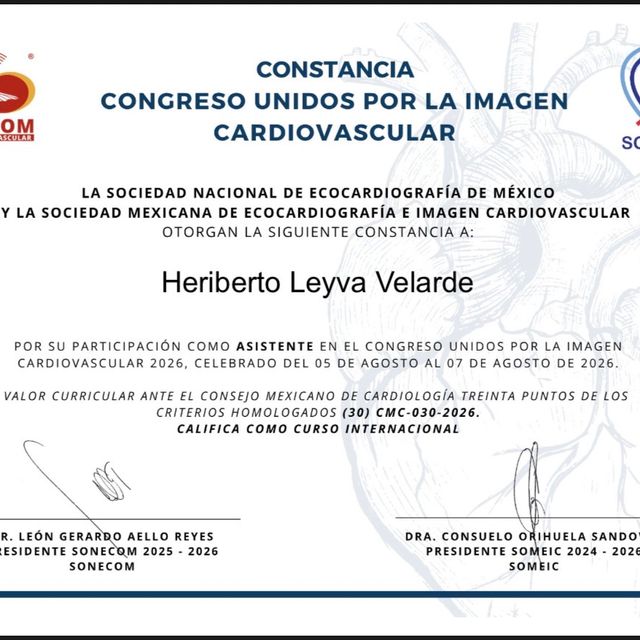 Ampliar imagen: certificate 8
