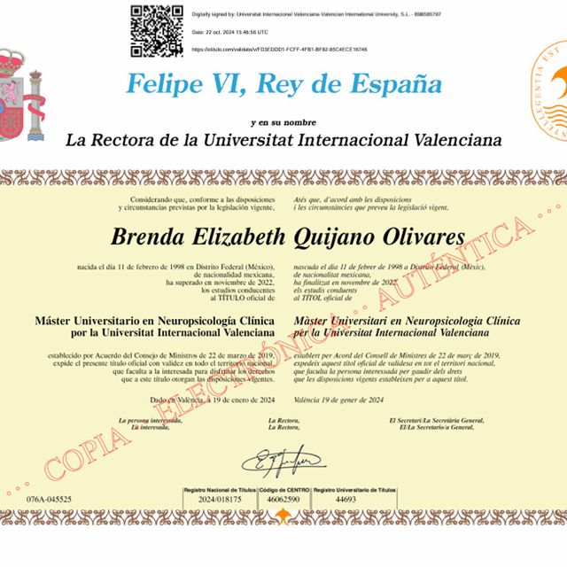 Ampliar imagen: certificate 3