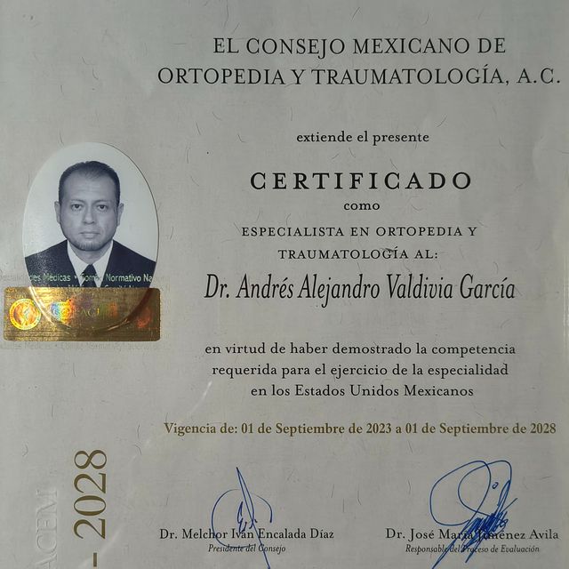 Ampliar imagen: certificate 2