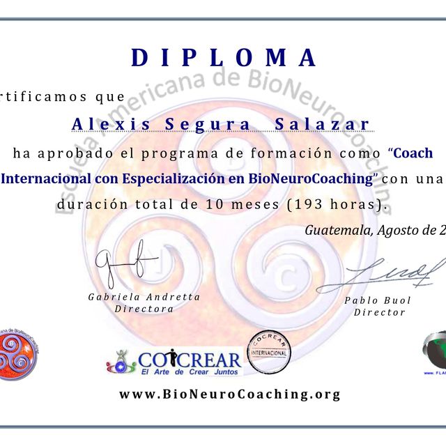 Ampliar imagen: certificate 11